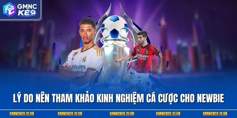 Lý do nên tham khảo kinh nghiệm cá cược cho newbie