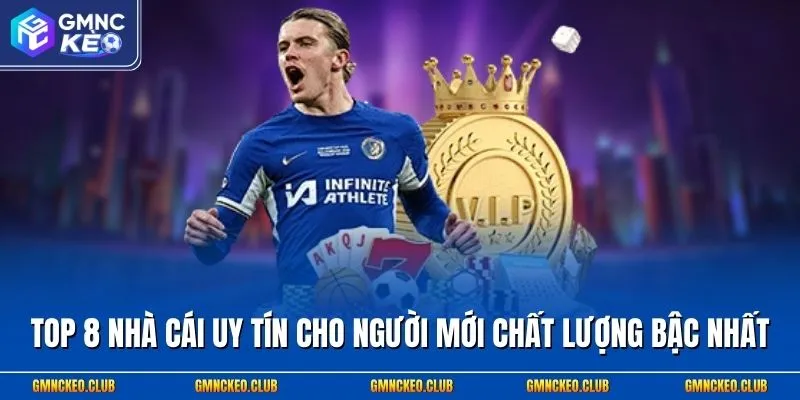 Top 8 Nhà Cái Uy Tín Cho Người Mới Chất Lượng Bậc Nhất