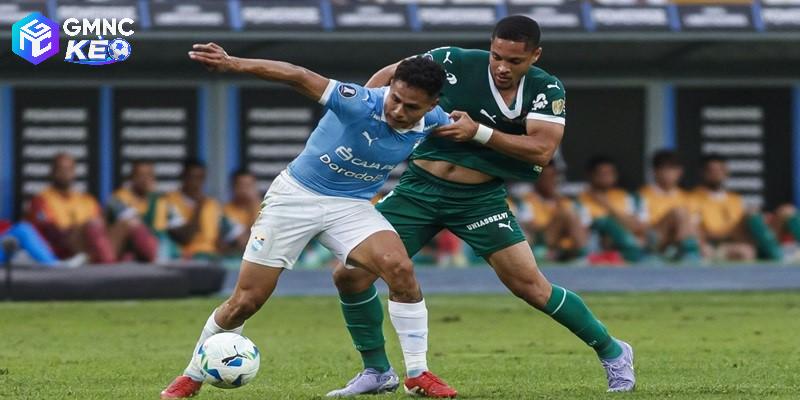 Soi kèo Cristal vs Palmeiras