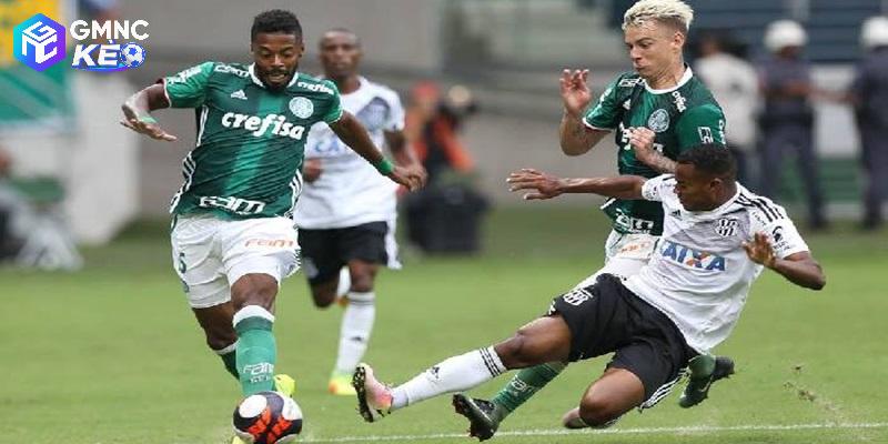 Nhận định Palmeiras vs Jacuipense Nhận định Palmeiras vs Jacuipense